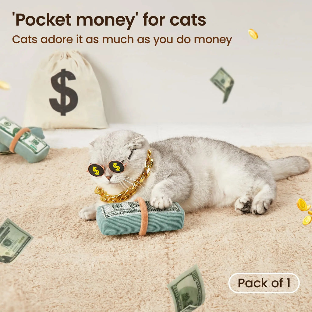 Potaroma Us-Dollar Catnip Crinkly Sound Toy Cat Toys, Mesh Fabric for Teeth Cleaning, Interactive Kicker Toys for Indoor Kitten Exercise 6.0 Inches for All Breeds #Summervibes #Petlovers