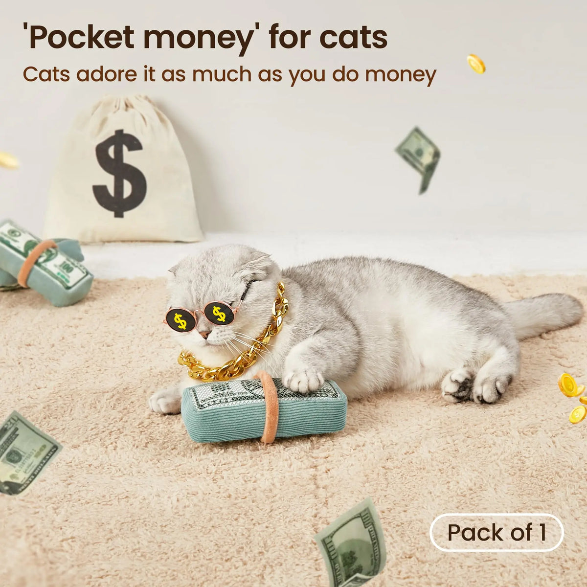 Potaroma Us-Dollar Catnip Crinkly Sound Toy Cat Toys, Mesh Fabric for Teeth Cleaning, Interactive Kicker Toys for Indoor Kitten Exercise 6.0 Inches for All Breeds #Summervibes #Petlovers