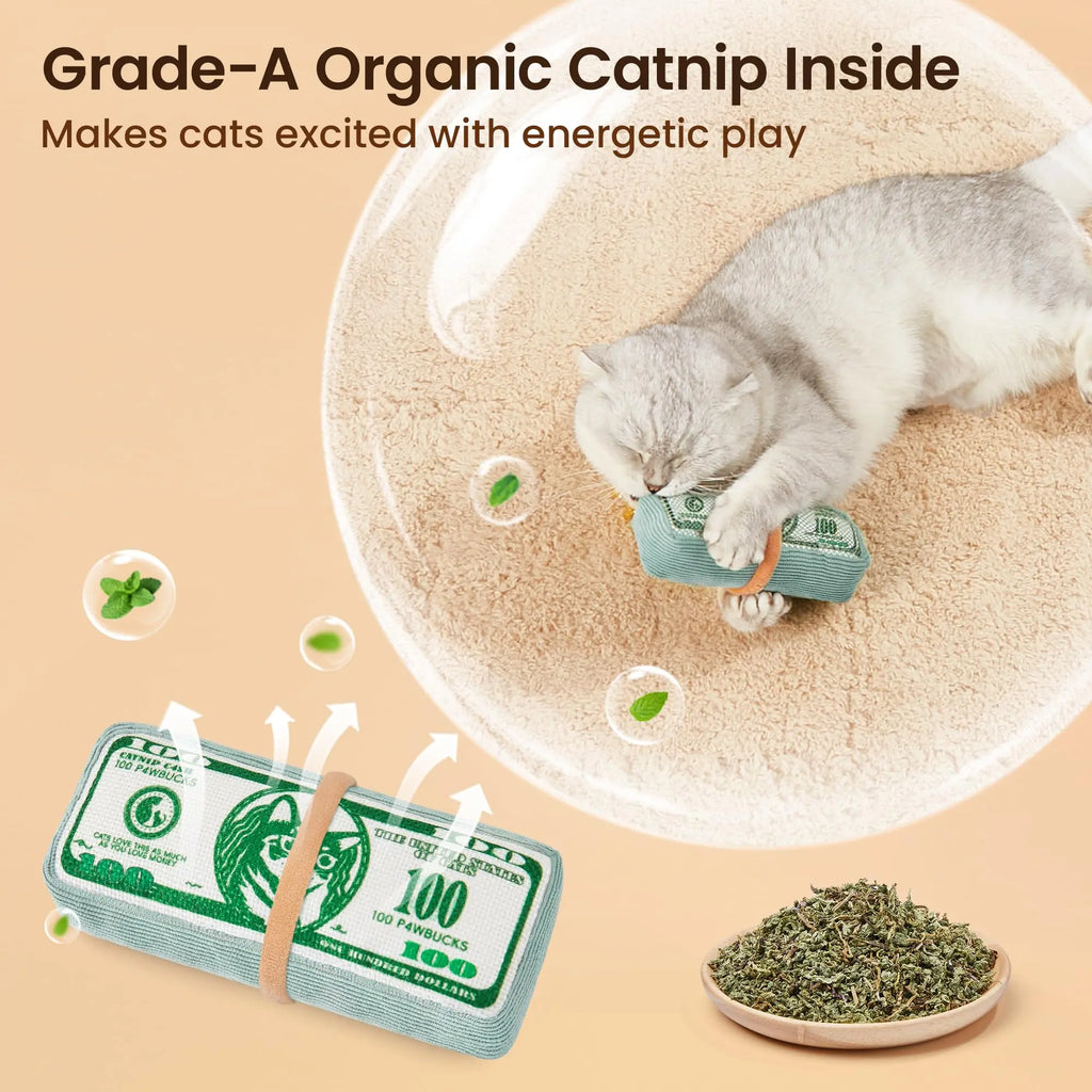 Potaroma Us-Dollar Catnip Crinkly Sound Toy Cat Toys, Mesh Fabric for Teeth Cleaning, Interactive Kicker Toys for Indoor Kitten Exercise 6.0 Inches for All Breeds #Summervibes #Petlovers