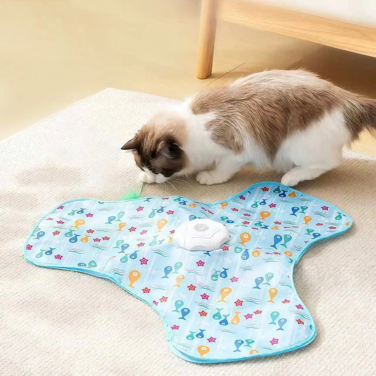 Interactive Hide and Seek Cat Toy, USB Rechargeable Automatic Toy with Moving Feather, Enrichment Toy for Indoor Cats & Kittens