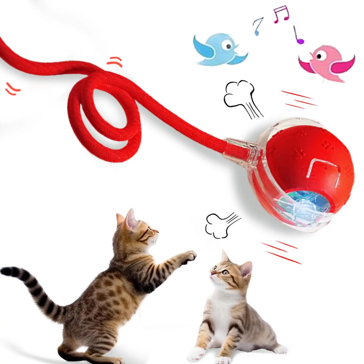 Bird Song Automatic Rolling Ball, Electric Rope Cat Ball Toy, Interactive Cat Teasing Toy, Pet Chasing Toy, Cat Toy, Pet Supplies, Dog and Cat Accessories